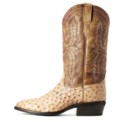 Ariat Western: Circuit R Toe Botas Western Hombre - Marrones (MOFKA7826)